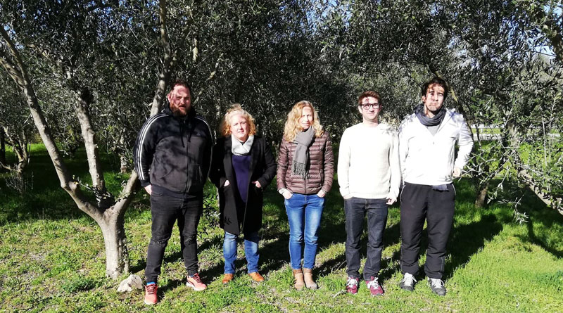Huile, pâte d'olive à Nîmes dans le Gard (30)